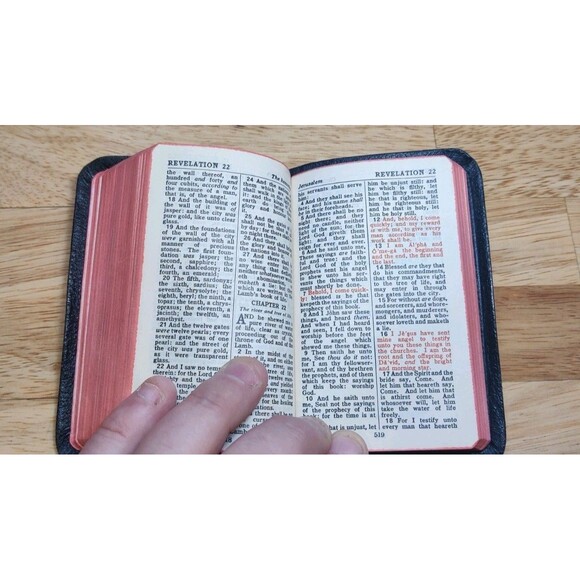 Vtg Holman Jewel New Testament Psalms Genuine Leather-King James Version-KJV - Picture 11 of 12